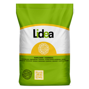 Семена подсолнечника Слава ЕС Максим XL+Апрон XL+Пончо - Гибриды lidea 8458 фото